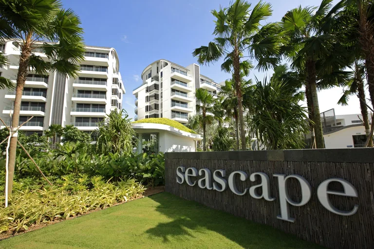 Seascape, photograph: the arrival garden at Cove Way, with the stone sign wall bearing the seascape name, palms and lawn in front of the white blocks